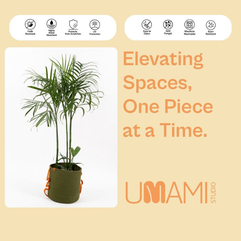 Umami Studio’s Verdant Grace Rope Basket