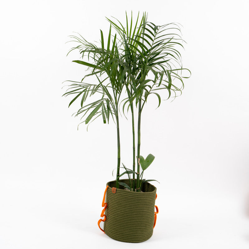 Umami Studio’s Verdant Grace Rope Basket