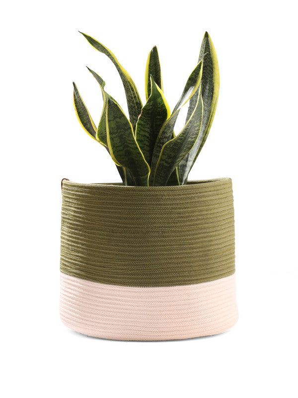 Umami Studio’s Nature’s Embrace Rope Basket & Planter Cover