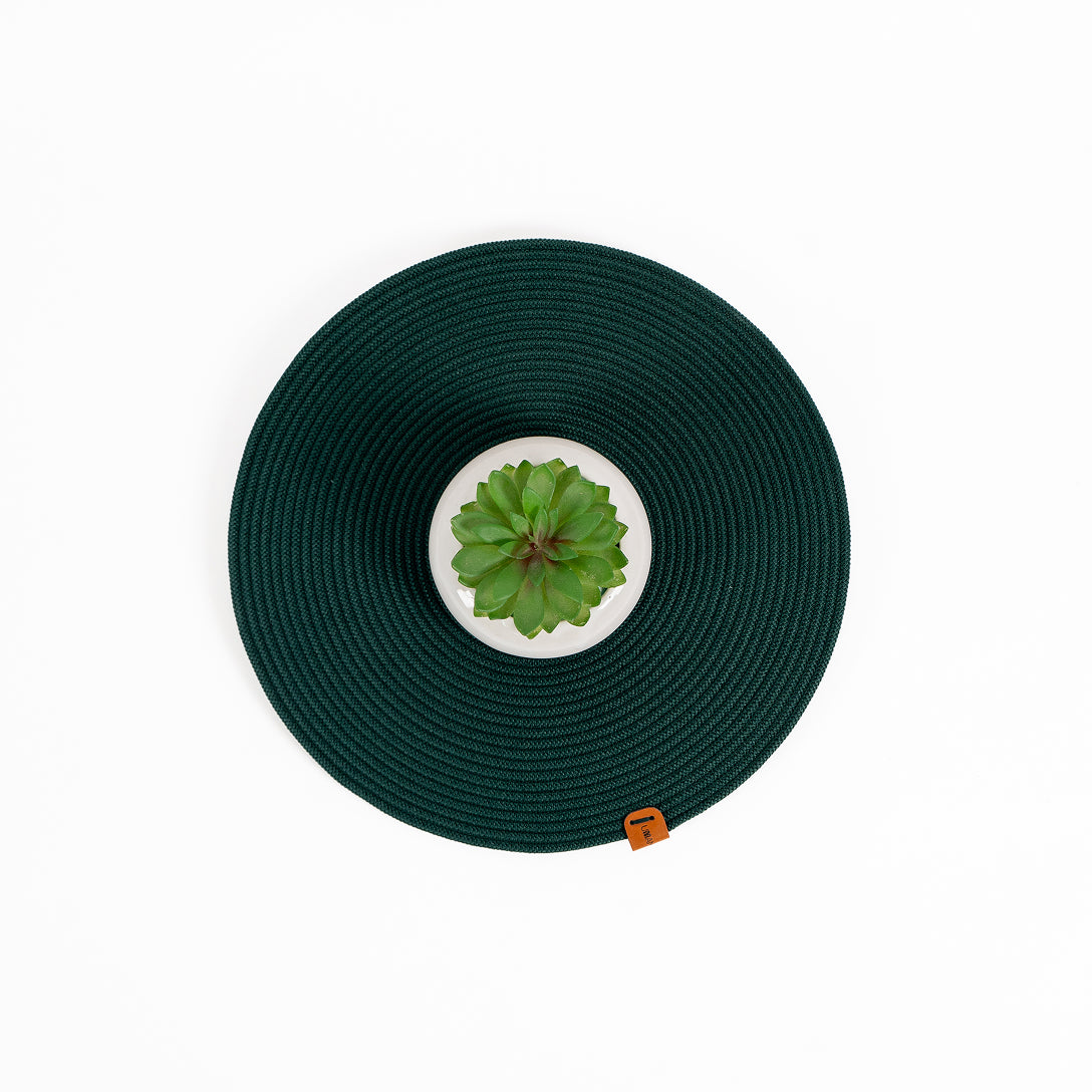 Serene Green Luxe Dining Mats (Set of 2)