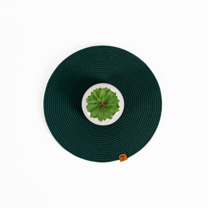 Serene Green Luxe Dining Mats (Set of 2)