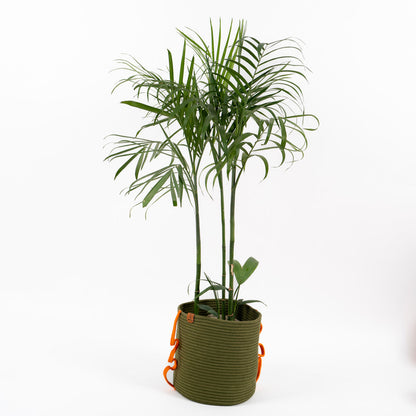 Umami Studio’s Verdant Grace Rope Basket