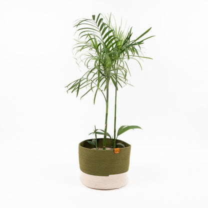 Umami Studio’s Nature’s Embrace Rope Basket & Planter Cover