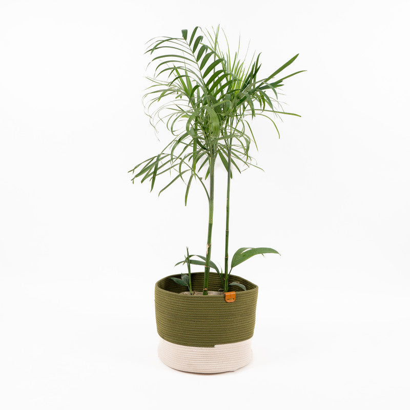 Umami Studio’s Nature’s Embrace Rope Basket & Planter Cover
